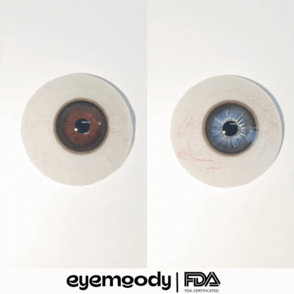 Zoraida x Eyemoody Stormy Brown | 6 meses, 2 piezas