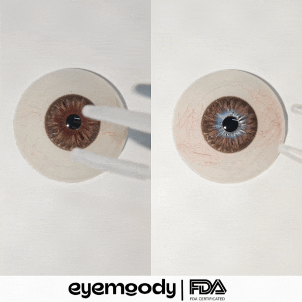 [NEW] Eyemoody Citrine Brown | 6 Months, 2 pcs