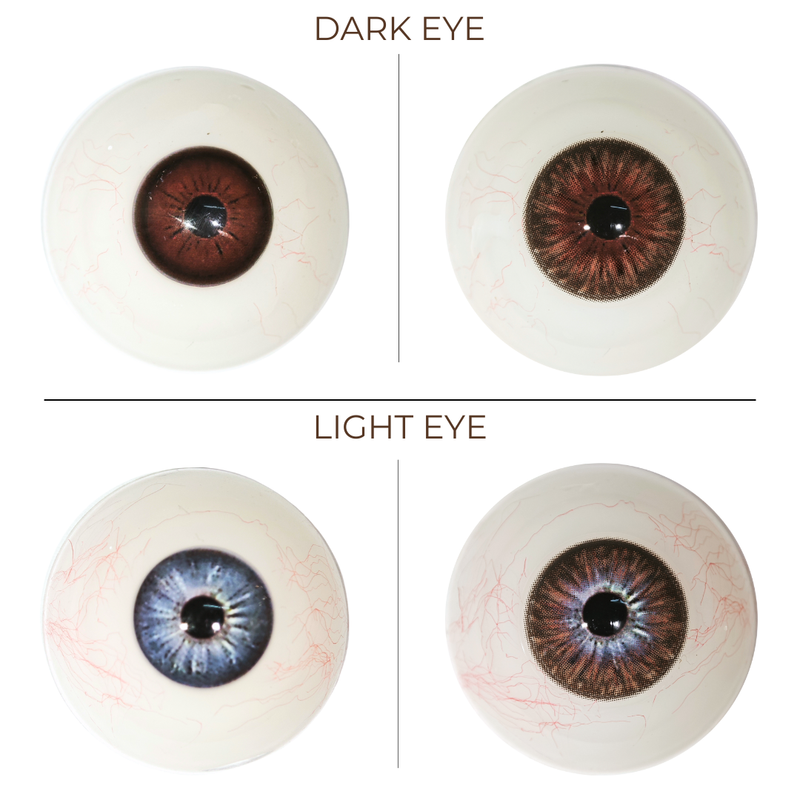 [NEW] Eyemoody Citrine Brown | 6 Months, 2 pcs