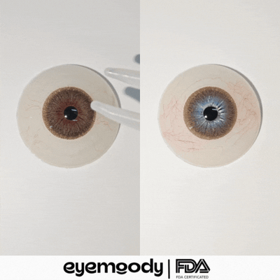 Eyemoody Dark Brown | 6 Months, 2 pcs