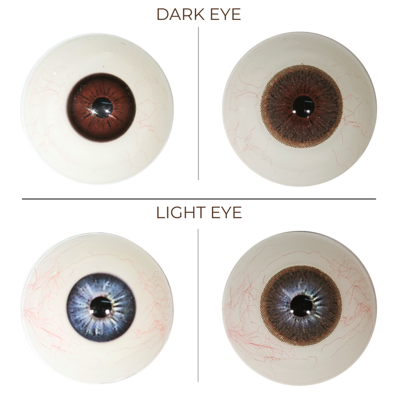 Eyemoody Dark Brown | 6 Months, 2 pcs