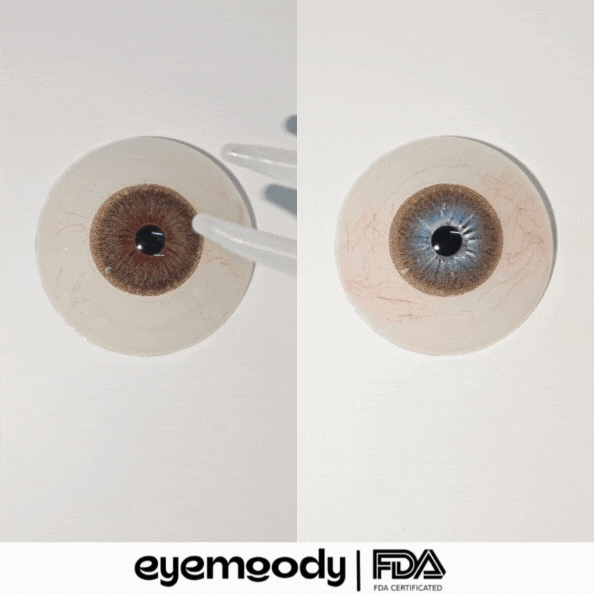 Eyemoody Dark Brown | 6 Months, 2 pcs