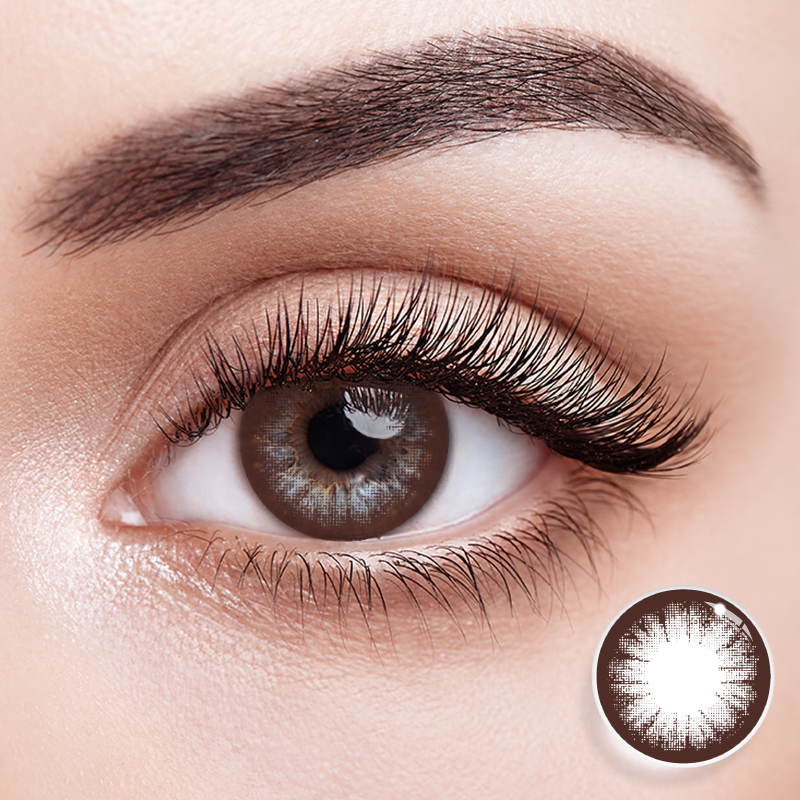 [NEW] Eyemoody Espresso Brown | 6 Months, 2 pcs