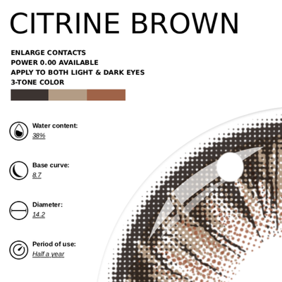 [NEW] Eyemoody Citrine Brown | 6 Months, 2 pcs