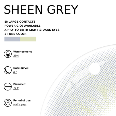 [NEW] Eyemoody Sheen Grey | 6 Months, 2 pcs