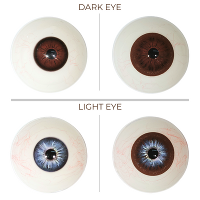 [NEW] Eyemoody Espresso Brown | 6 Months, 2 pcs