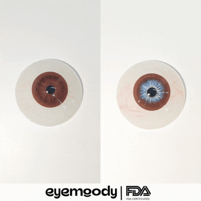 [NEW] Eyemoody Espresso Brown | 6 Months, 2 pcs