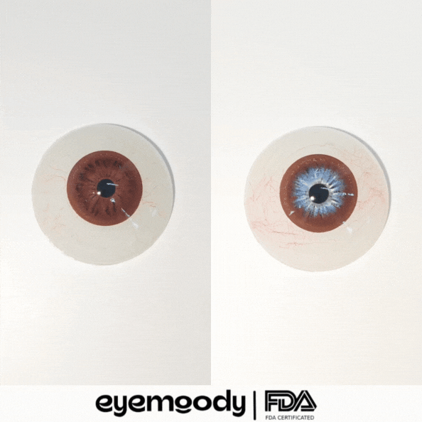 [NEW] Eyemoody Espresso Brown | 6 Months, 2 pcs
