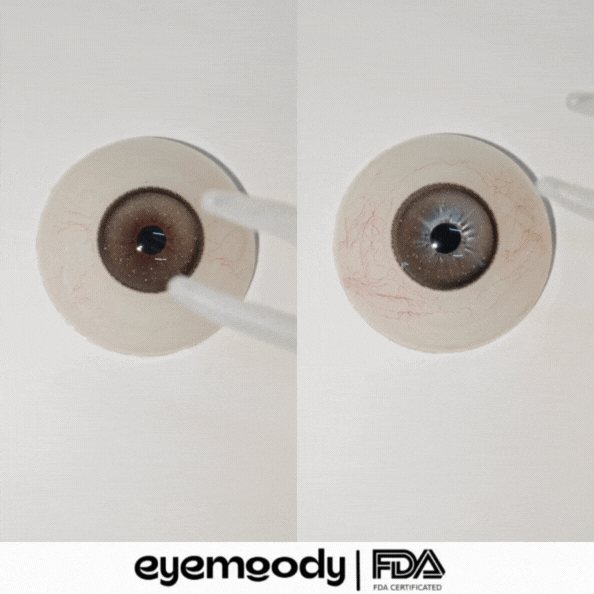 [NEW] Eyemoody Fade Brown | 6 Months, 2 pcs