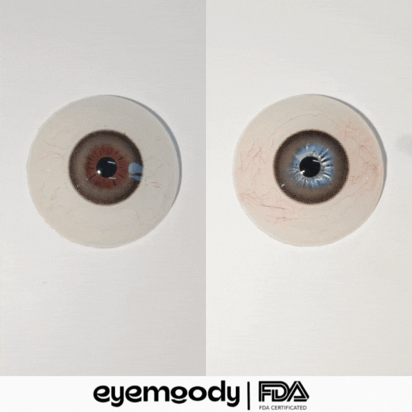 [NEW] Eyemoody Glint Brown | 6 Months, 2 pcs