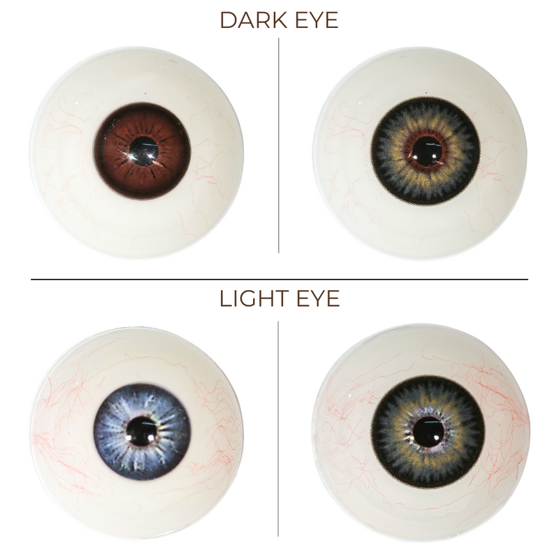 Vanessa x Eyemoody Bloom Black | 6 Months, 2 pcs