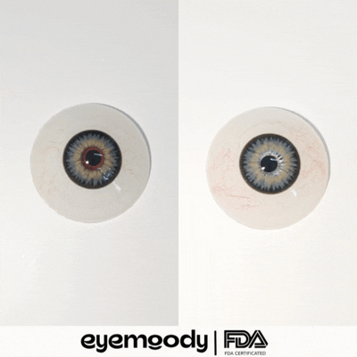 Eyemoody Bloom Black | 6 Months, 2 pcs