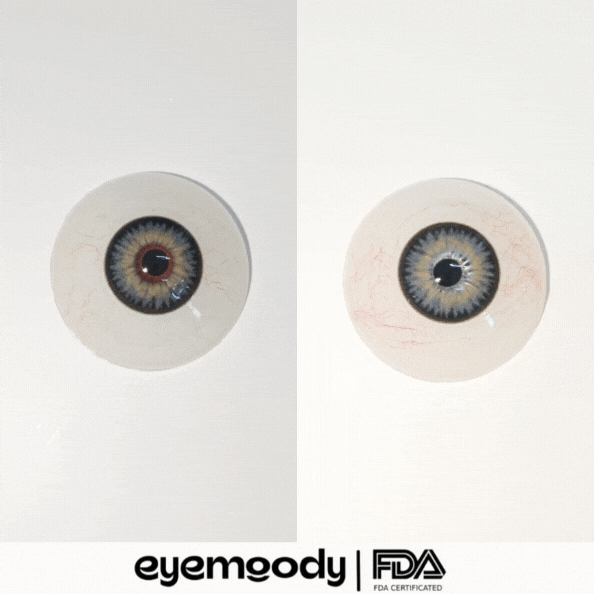 Eyemoody Bloom Black | 6 Months, 2 pcs