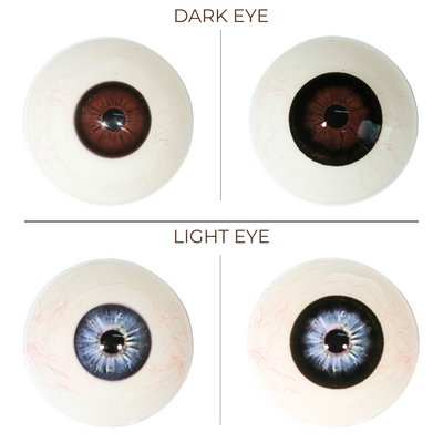 Zoraida x Eyemoody Midnight Black | 6 Months, 2 pcs