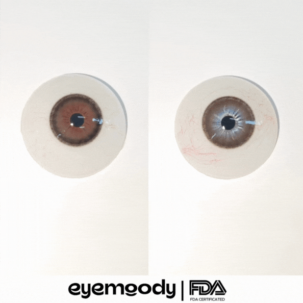 Amglamm x Eyemoody Misty Brown | 6 Months, 2 pcs