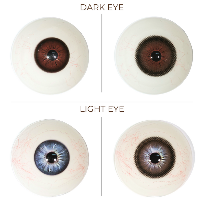 Eyemoody Misty Brown | 6 Months, 2 pcs