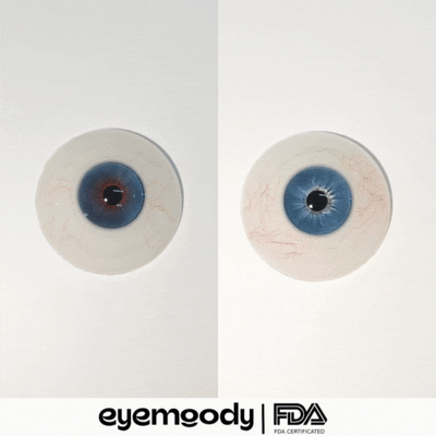 [NEW] Reiko x Eyemoody Ragdoll Blue | 6 Months, 2 pcs