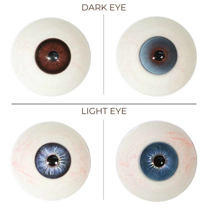 [NEW] Eyemoody Ragdoll Blue | 6 Months, 2 pcs