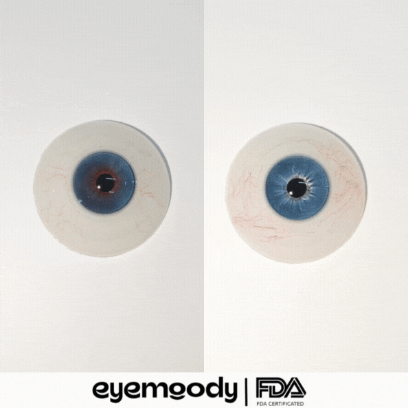 [NEW] Eyemoody Ragdoll Blue | 6 Months, 2 pcs