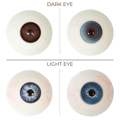 [NEW] Reiko x Eyemoody Ragdoll Blue | 6 Months, 2 pcs