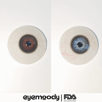 Eyemoody Stormy Brown | 6 Months, 2 pcs