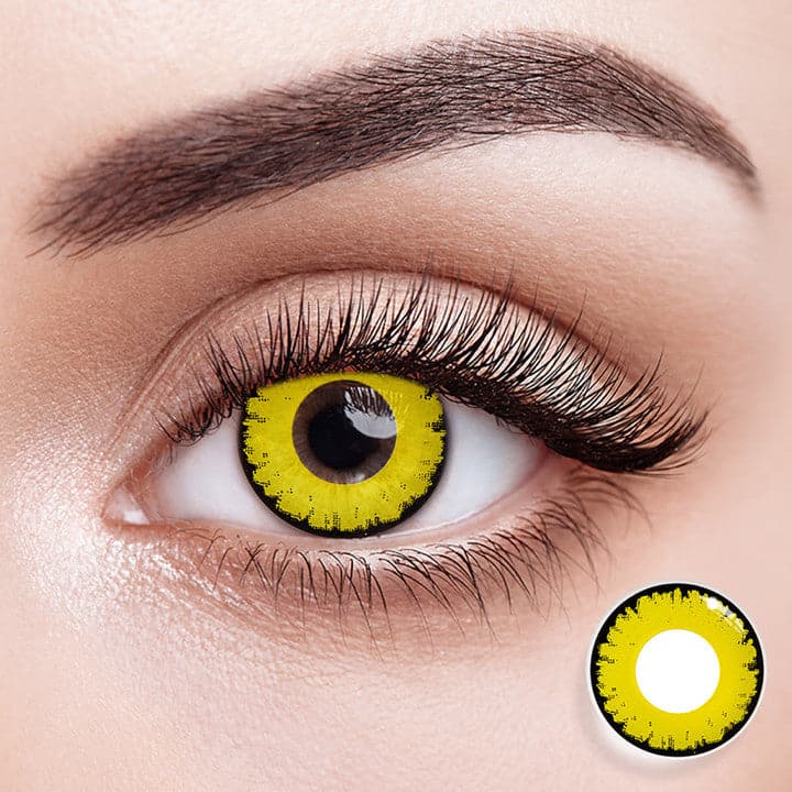Eyemiol Gänseblümchen Braun Farbige Kontaktlinsen | 0,00, 6 Monate (2 Linsen)